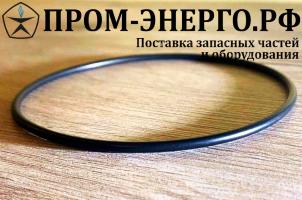P 626 Уплотнительное кольцо 223406-10