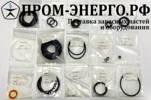 S 841, S 845, S 846   Сервисный набор / Inspection Kit 563859-02