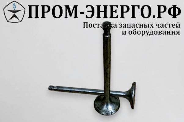 6S160 Клапан вп/вып 0308/0309